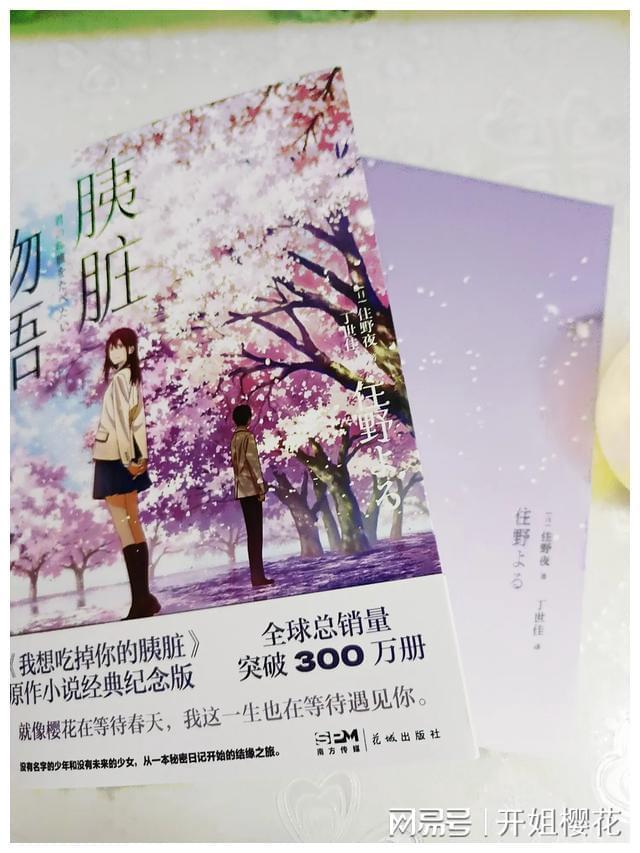 自治区十四届人大二次会议代表履职风采剪影